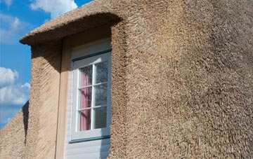 Weir thatch roof disadvantages